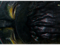 a4_3